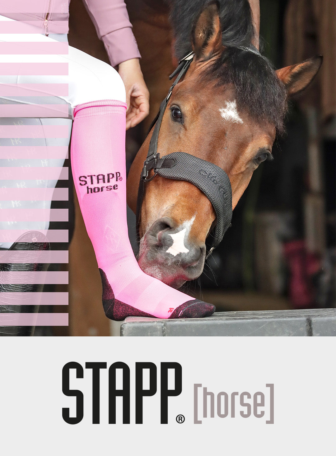 STAPP